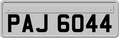 PAJ6044
