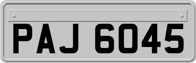 PAJ6045