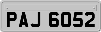 PAJ6052