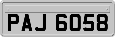 PAJ6058