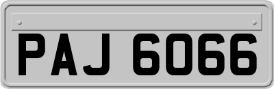 PAJ6066