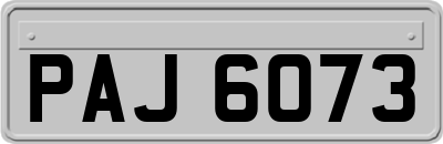PAJ6073