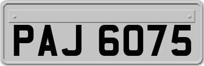 PAJ6075