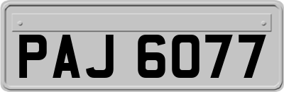 PAJ6077