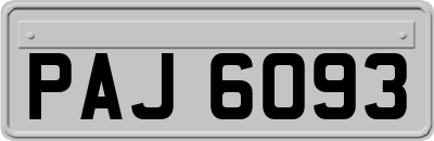 PAJ6093