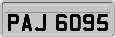 PAJ6095