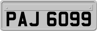 PAJ6099