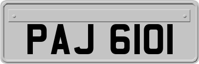 PAJ6101