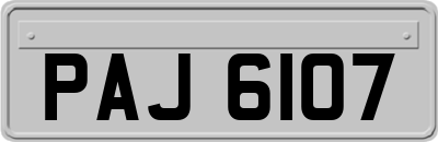 PAJ6107
