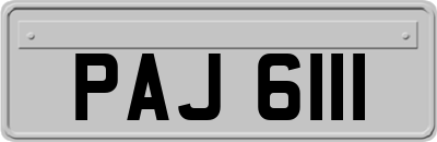 PAJ6111