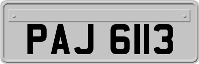 PAJ6113