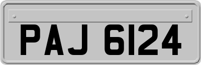 PAJ6124