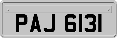 PAJ6131