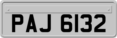 PAJ6132