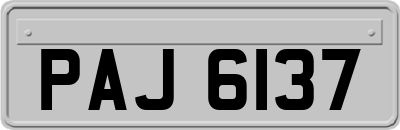 PAJ6137