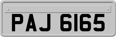 PAJ6165