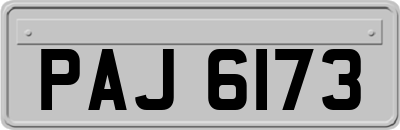 PAJ6173