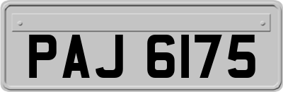 PAJ6175