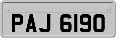 PAJ6190