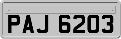 PAJ6203