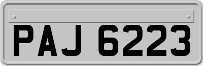 PAJ6223