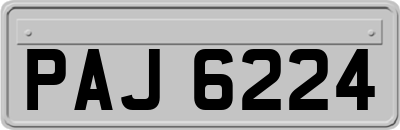 PAJ6224