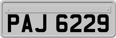 PAJ6229