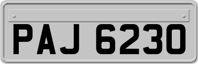 PAJ6230