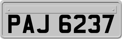 PAJ6237