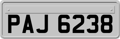 PAJ6238