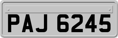 PAJ6245