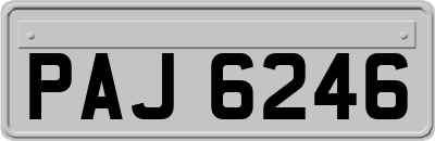 PAJ6246