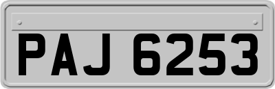 PAJ6253