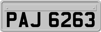 PAJ6263