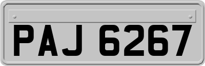 PAJ6267