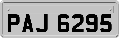 PAJ6295
