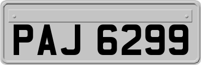 PAJ6299