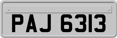 PAJ6313