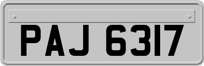 PAJ6317