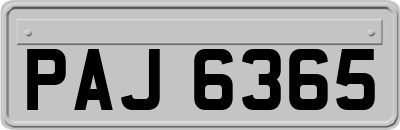 PAJ6365