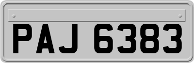 PAJ6383