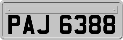 PAJ6388