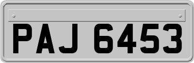 PAJ6453