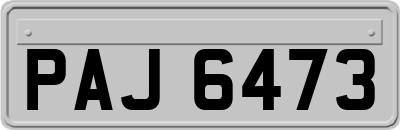 PAJ6473