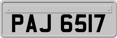 PAJ6517