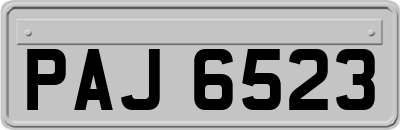 PAJ6523