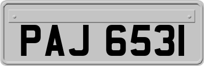 PAJ6531