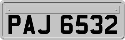 PAJ6532