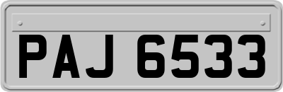 PAJ6533