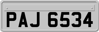 PAJ6534